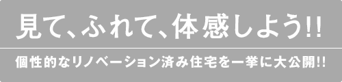 見て、ふれて、体験しよう！